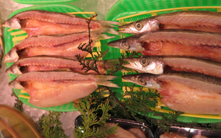 魚の北辰　ラゾーナ川崎店